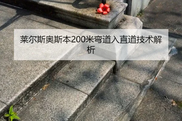 lai-er-si-ao-si-ben-mi-wan-dao-ru-zhi-dao-ji-shu-jie-xi-2-734.jpg