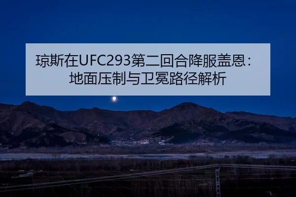 琼斯在UFC293第二回合降服盖恩：地面压制与卫冕路径解析