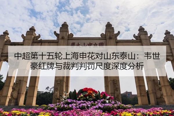 中超第十五轮上海申花对山东泰山：韦世豪红牌与裁判判罚尺度深度分析