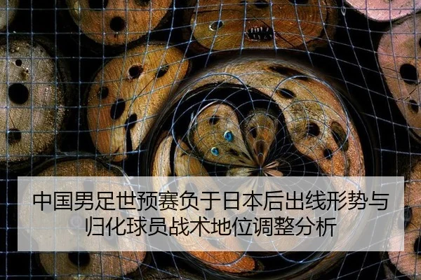 中国男足世预赛负于日本后出线形势与归化球员战术地位调整分析
